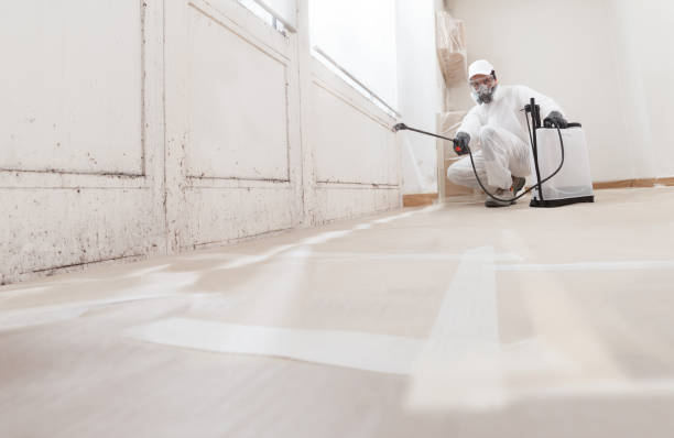 24/7 Emergency Crawl Space Mold Removal experts in Western Springs, IL